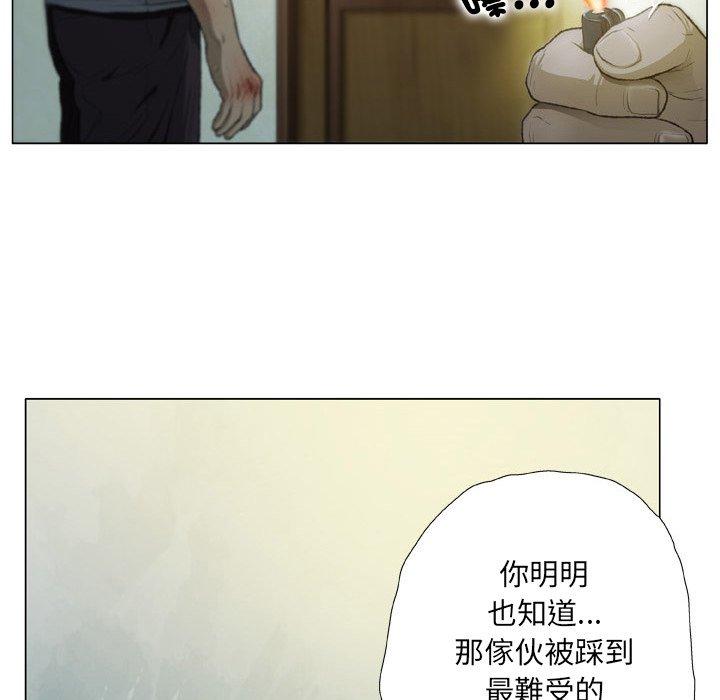 24P - 野狗