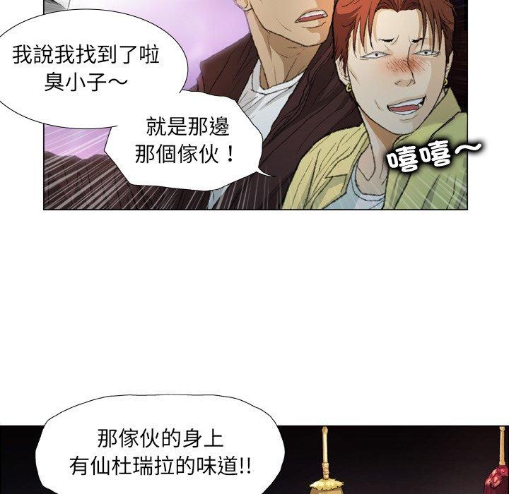 46P - 野狗