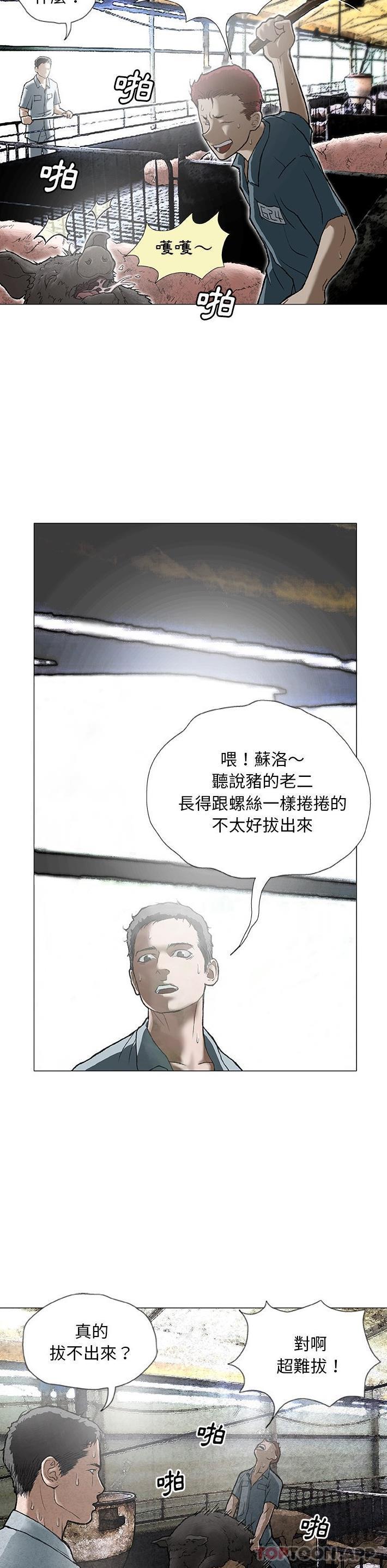 4P - 野狗