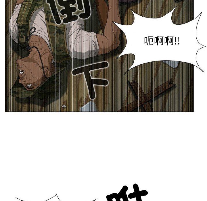 31P - 野狗