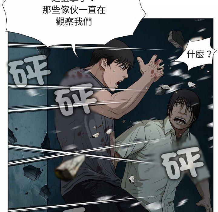 71P - 野狗
