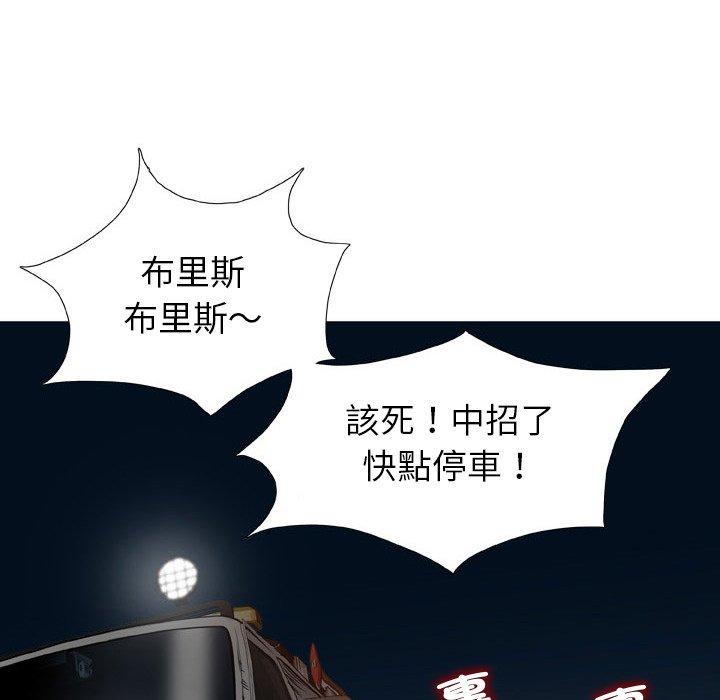 46P - 野狗