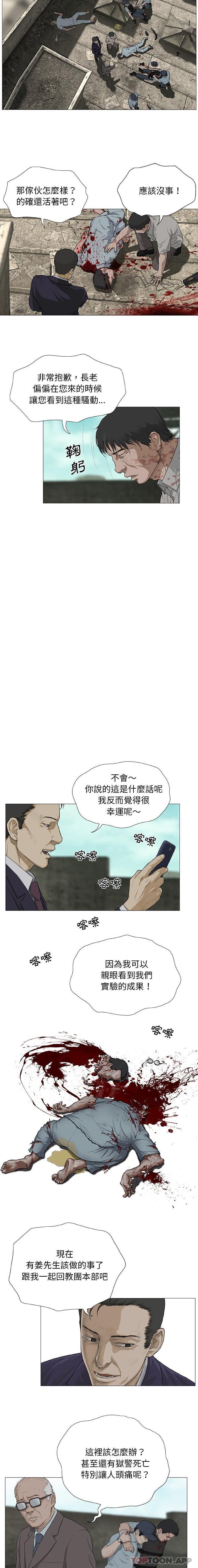 12P - 野狗