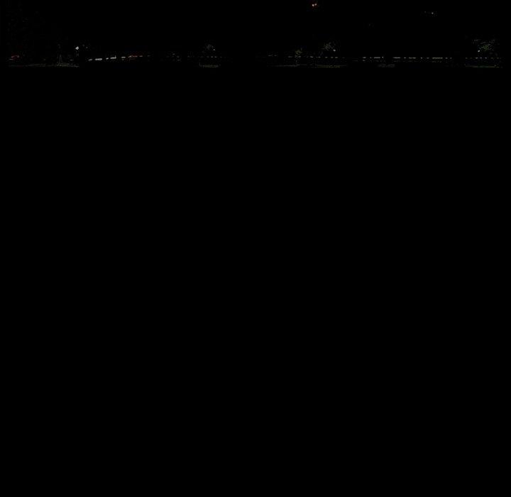 112P - 野狗
