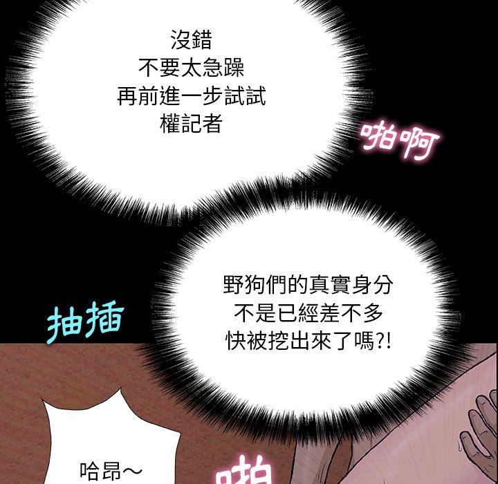91P - 野狗