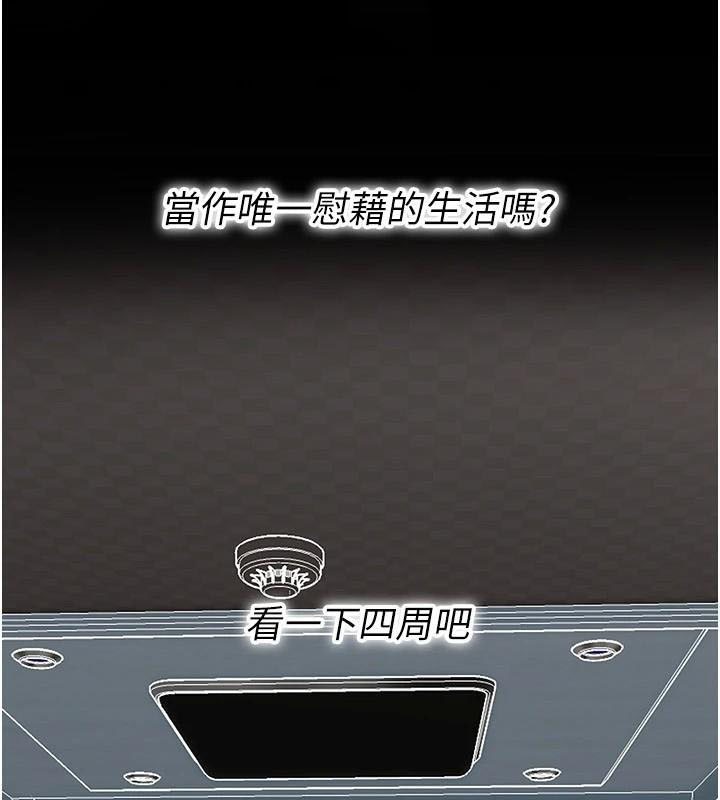43P - 街头干架王