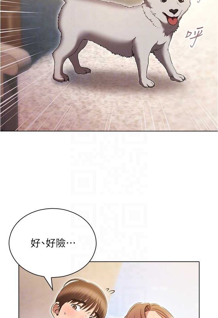 66P - 鲁蛇的多重宇宙