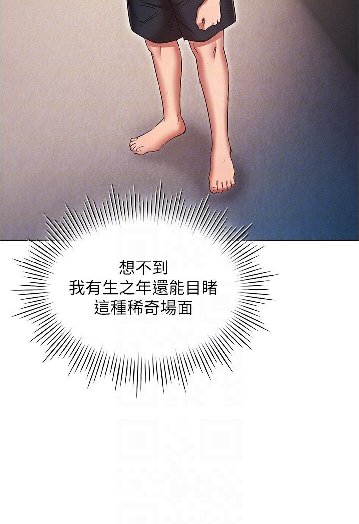 40P - 鲁蛇的多重宇宙