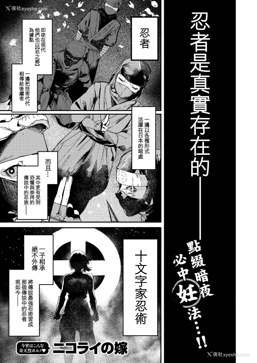 31P - [ニコライの嫁] 奇天烈ポルノ全集 [中文][无修正](2话无翻译有修正)