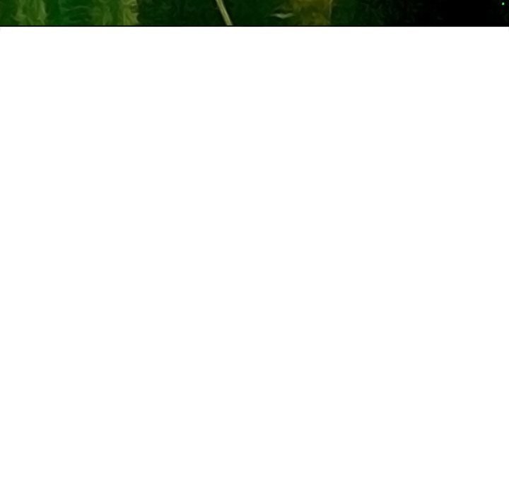 103P - 恶女勾勾缠/难缠小恶女