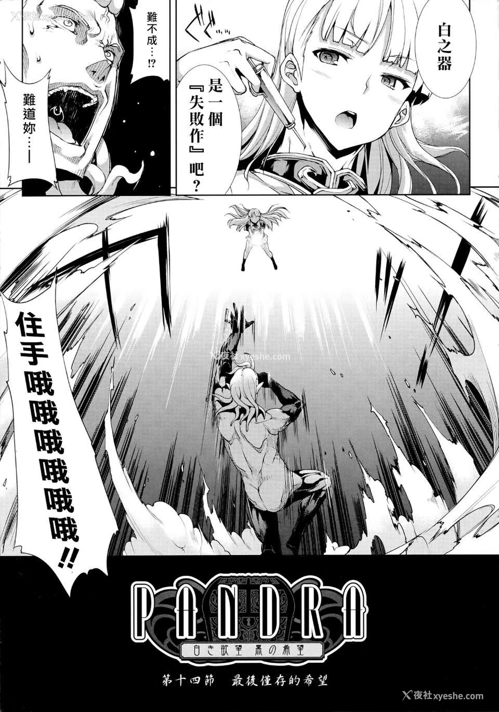 341P - [エレクトさわる] PANDRA~白き欲望 黒の希望~ Ⅰ-Ⅱ (PANDRA)[中国翻訳][疏码]