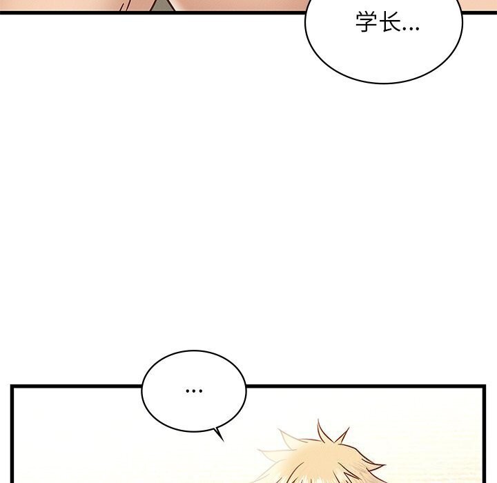 49P - 年轻代表/不该爱上妳