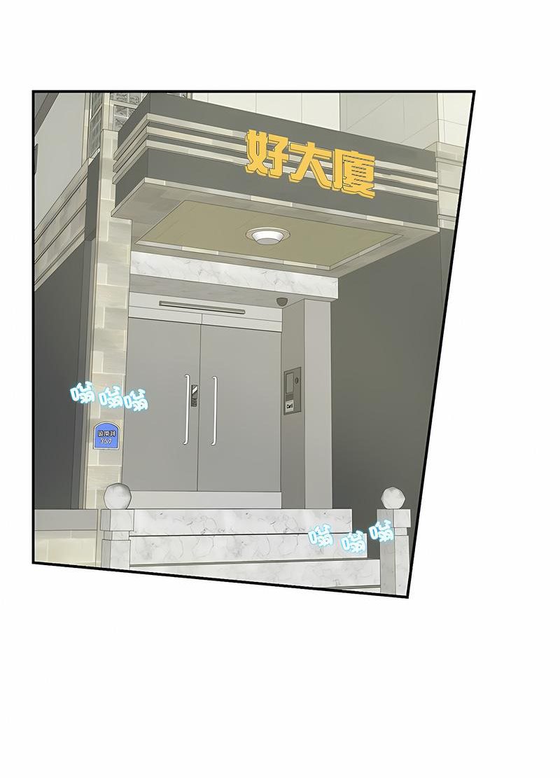 24P - 患得患失的爱恋/这难道是命中注定?