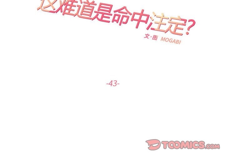 2P - 患得患失的爱恋/这难道是命中注定?