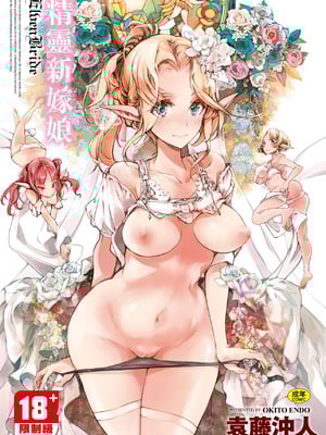 [袁藤冲人] エルフの嫁入り｜精灵新嫁娘 [中国翻訳] [DL版]
