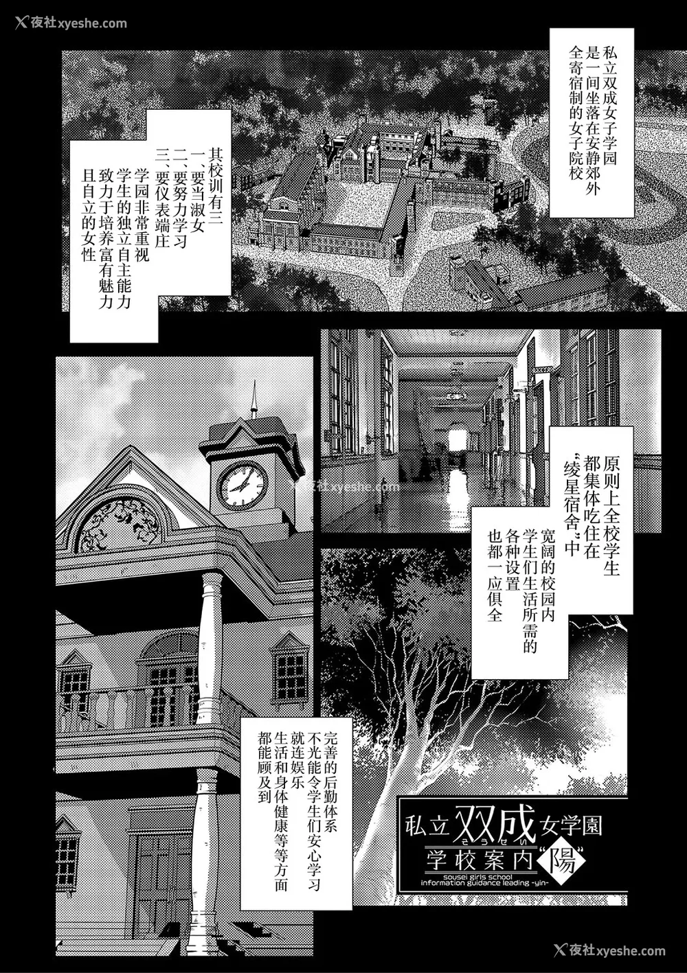 5P - [かもたま] 放课后ふたなり♡膣内射精日记 配信特典 メッセージペーパー、表纸・里表纸原画 [不咕鸟汉化组] [DL版]