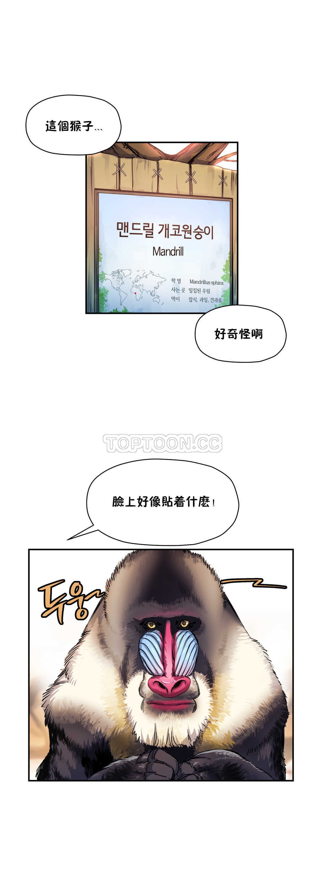 20P - 初恋小白鼠