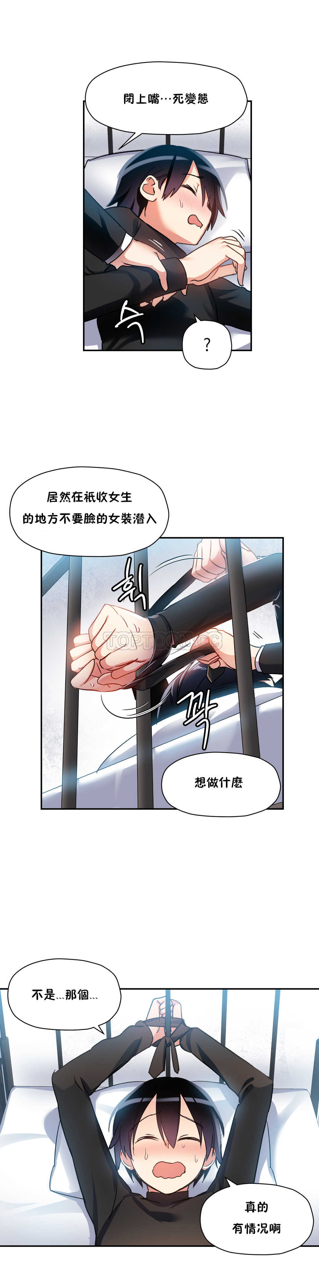 7P - 初恋小白鼠