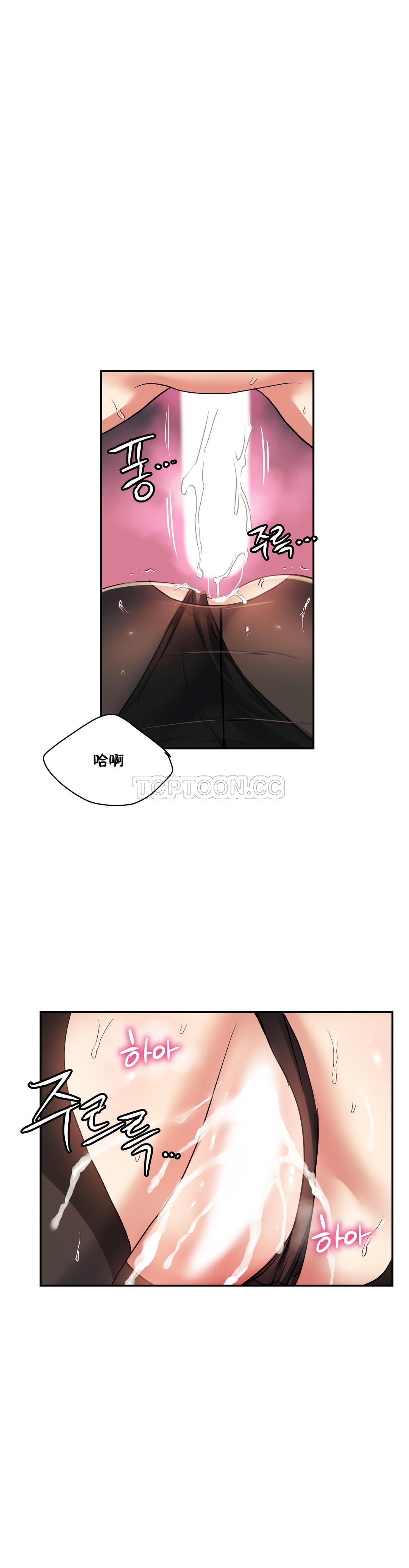 8P - 初恋小白鼠