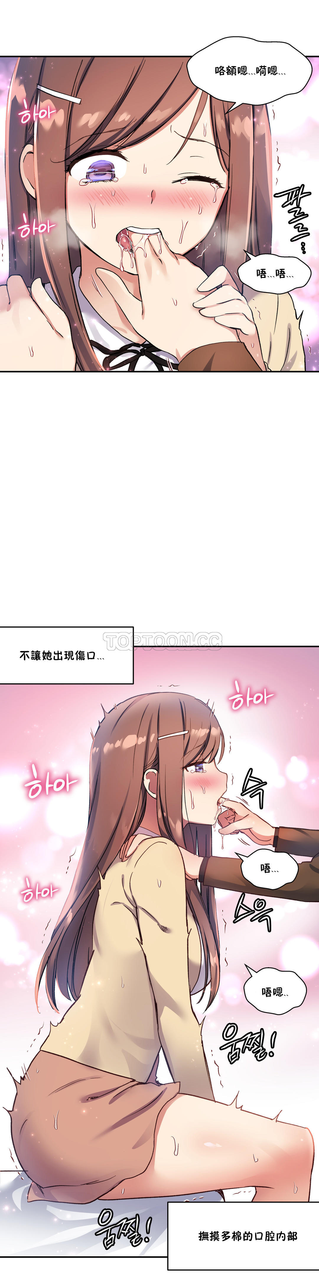 33P - 初恋小白鼠
