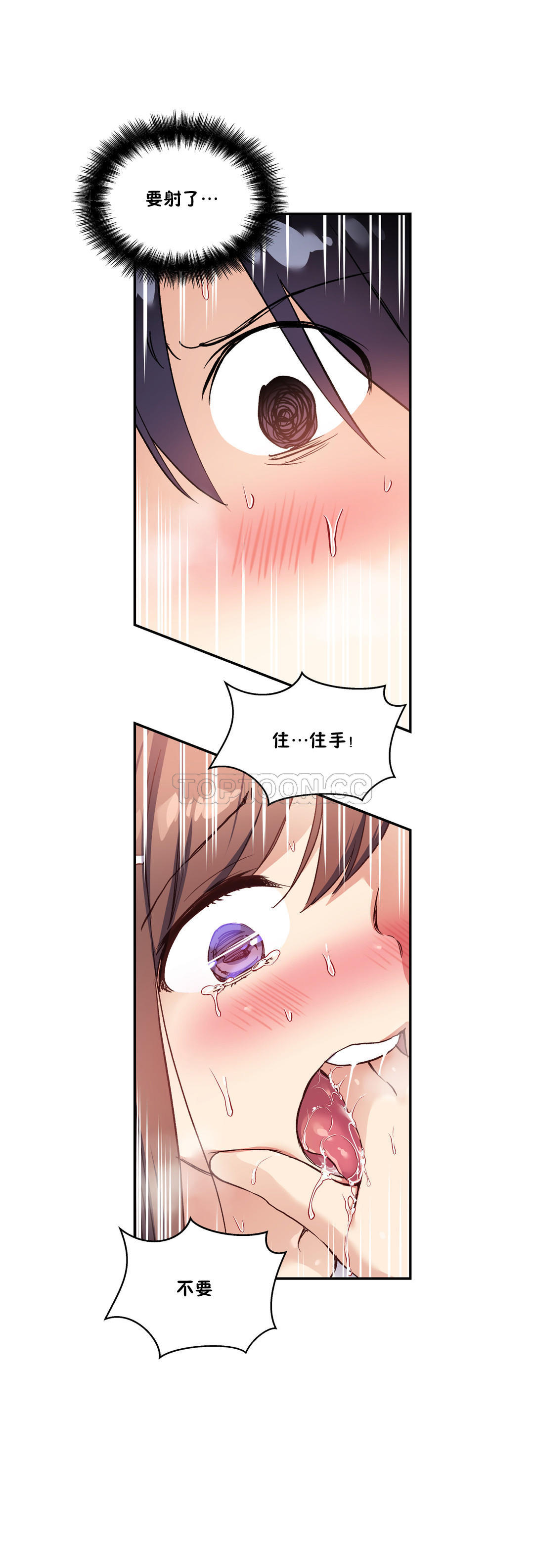 37P - 初恋小白鼠