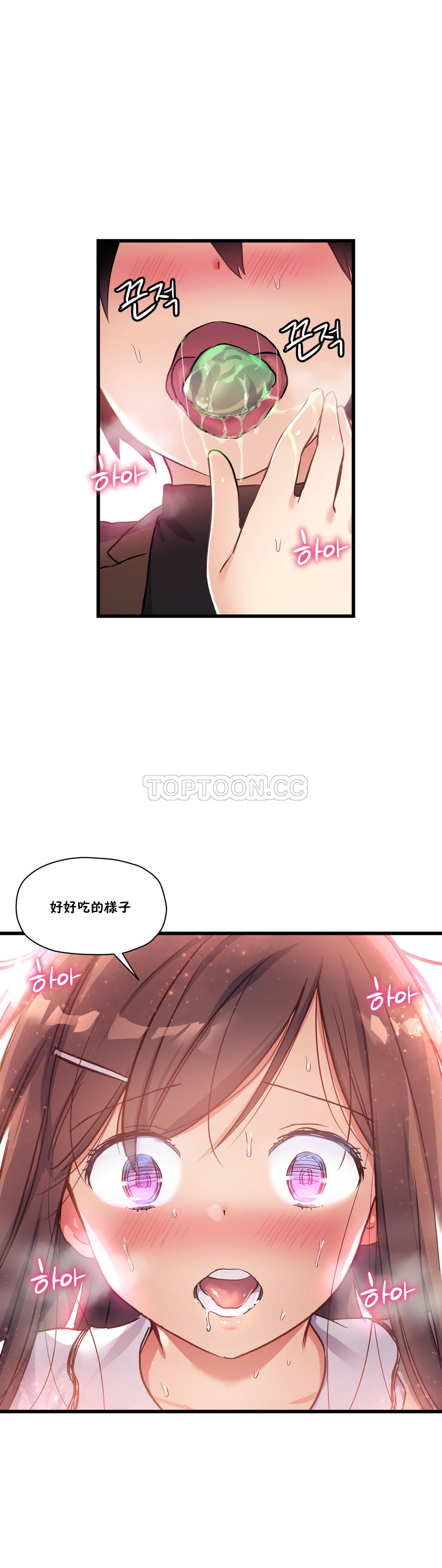 49P - 初恋小白鼠