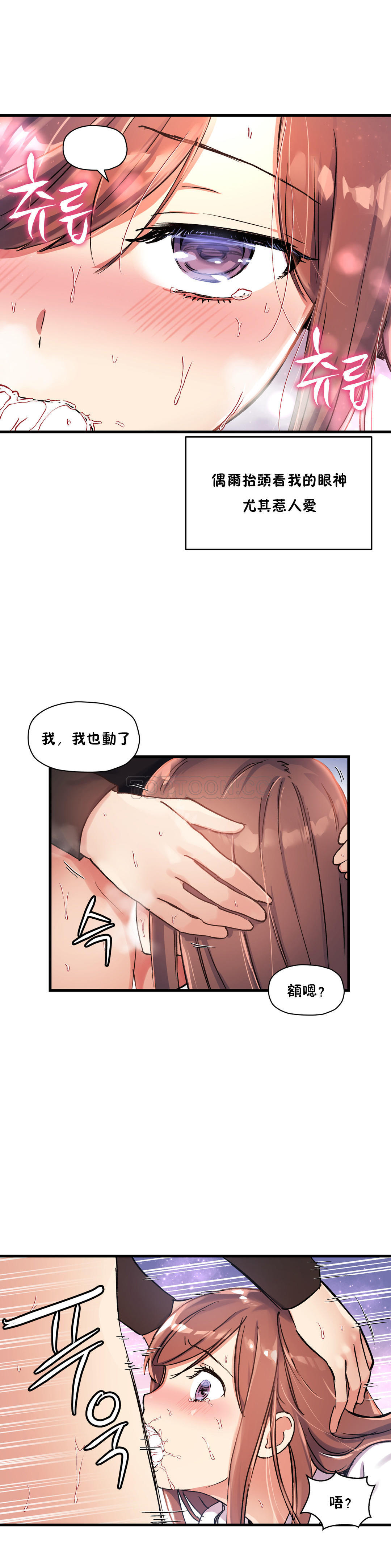 4P - 初恋小白鼠