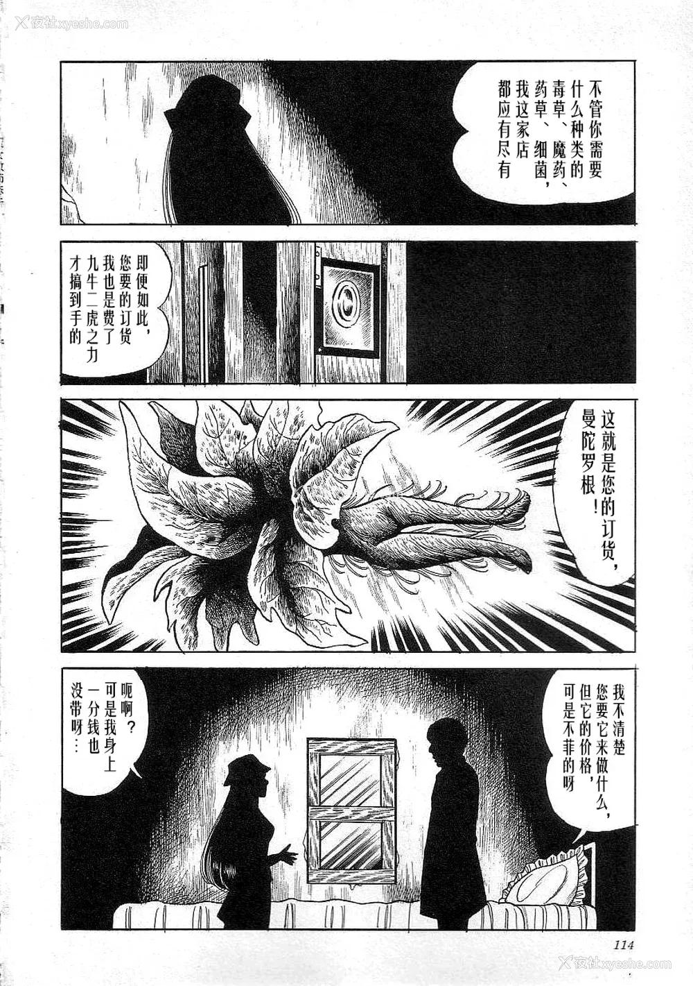 116P - [矢崎透] 魔女教师麻矢子