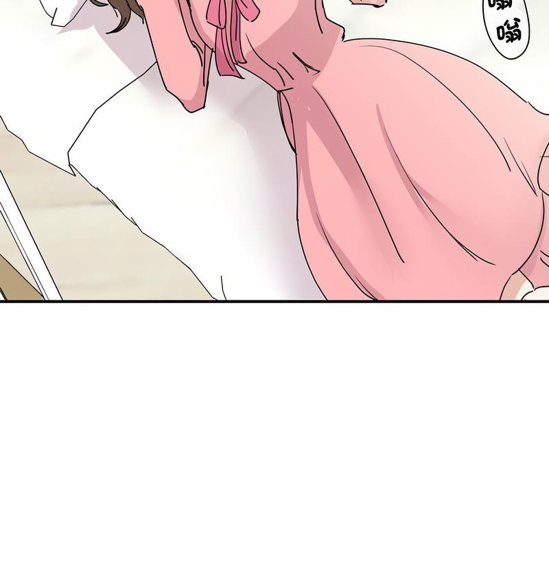 106P - 我的完美谬思