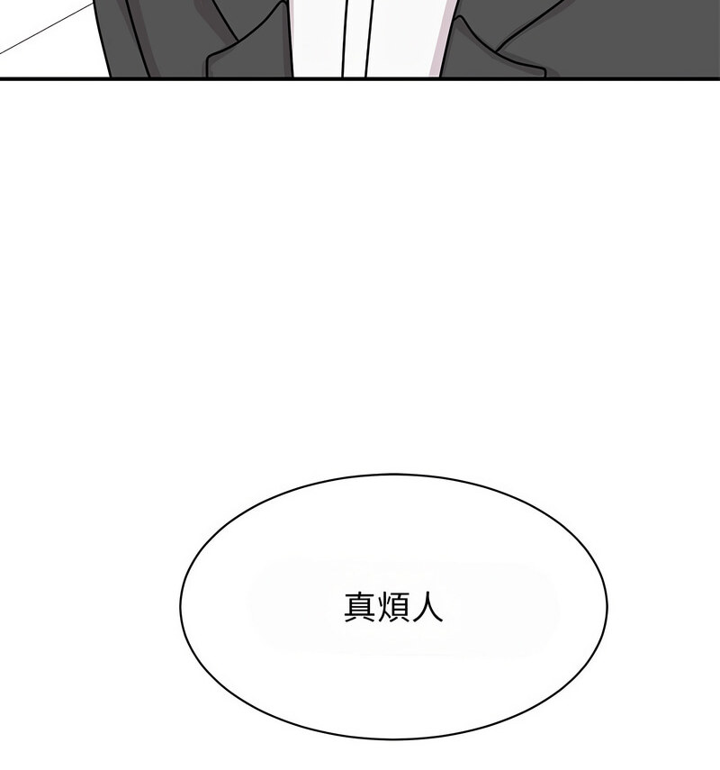 133P - 我的完美谬思