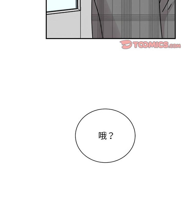 28P - 我的完美谬思