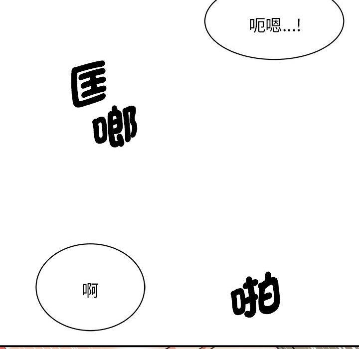 106P - 我的完美谬思