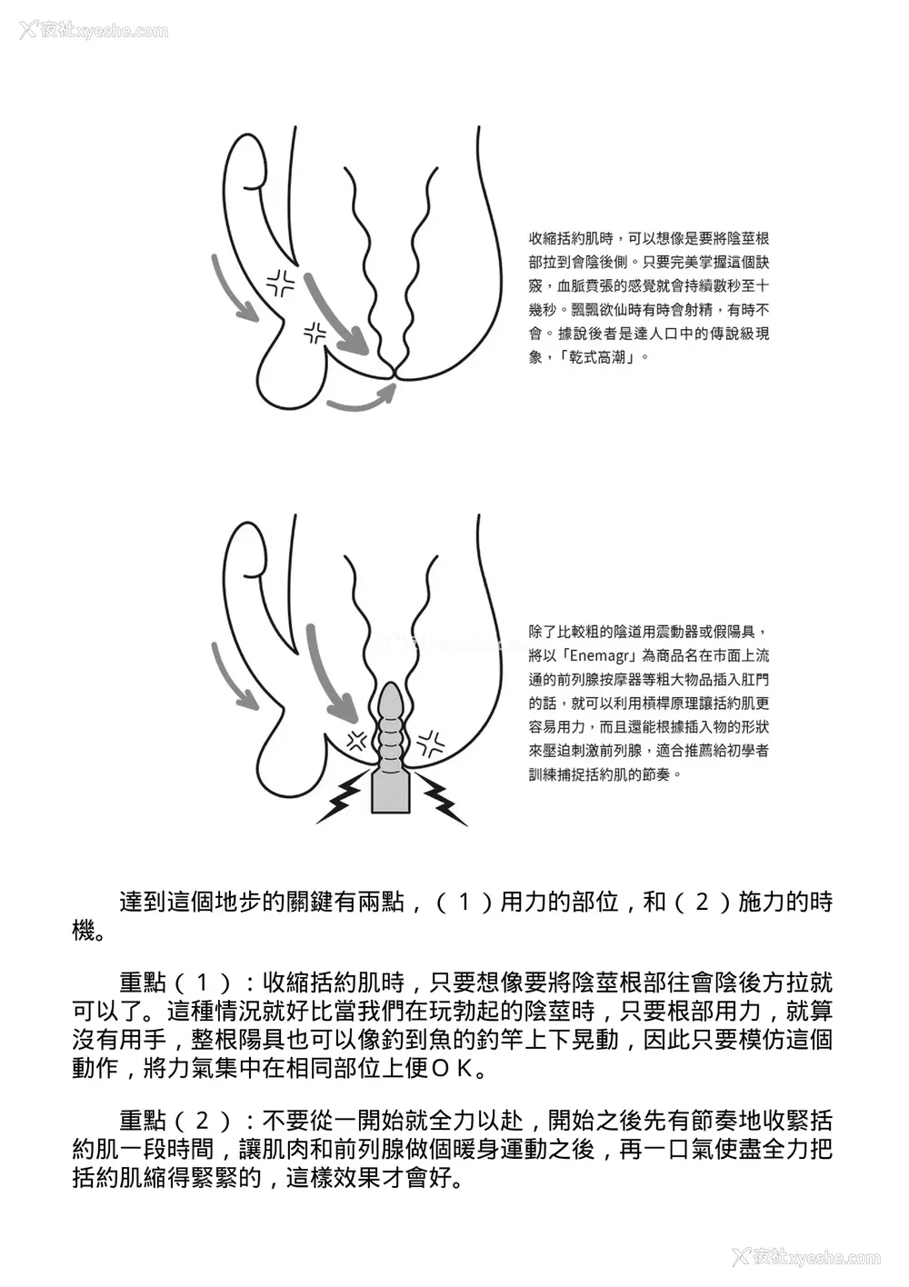 228P - [由良桥势] 男の自慰・オナニー完全マニュアル イラスト版……おなプレ｜自慰攻略：图解男性手淫．菊花游戏完全指南