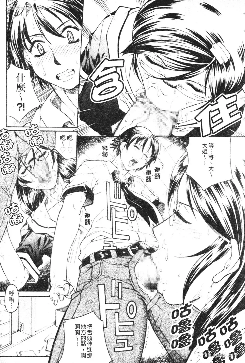37P - [秋乃秀文] 牝姉