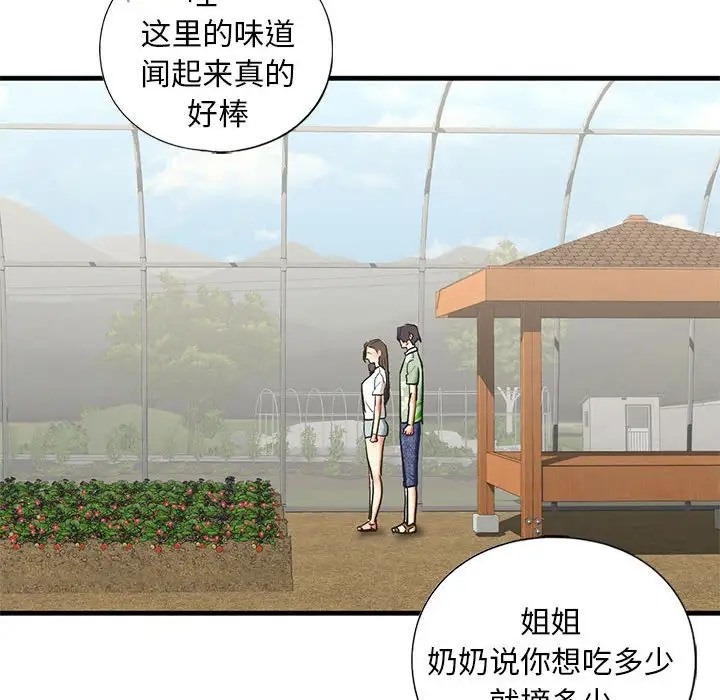 70P - 不要欺负我姐姐/我的继姐