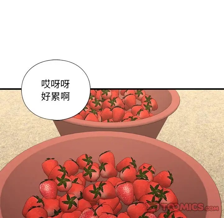 75P - 不要欺负我姐姐/我的继姐