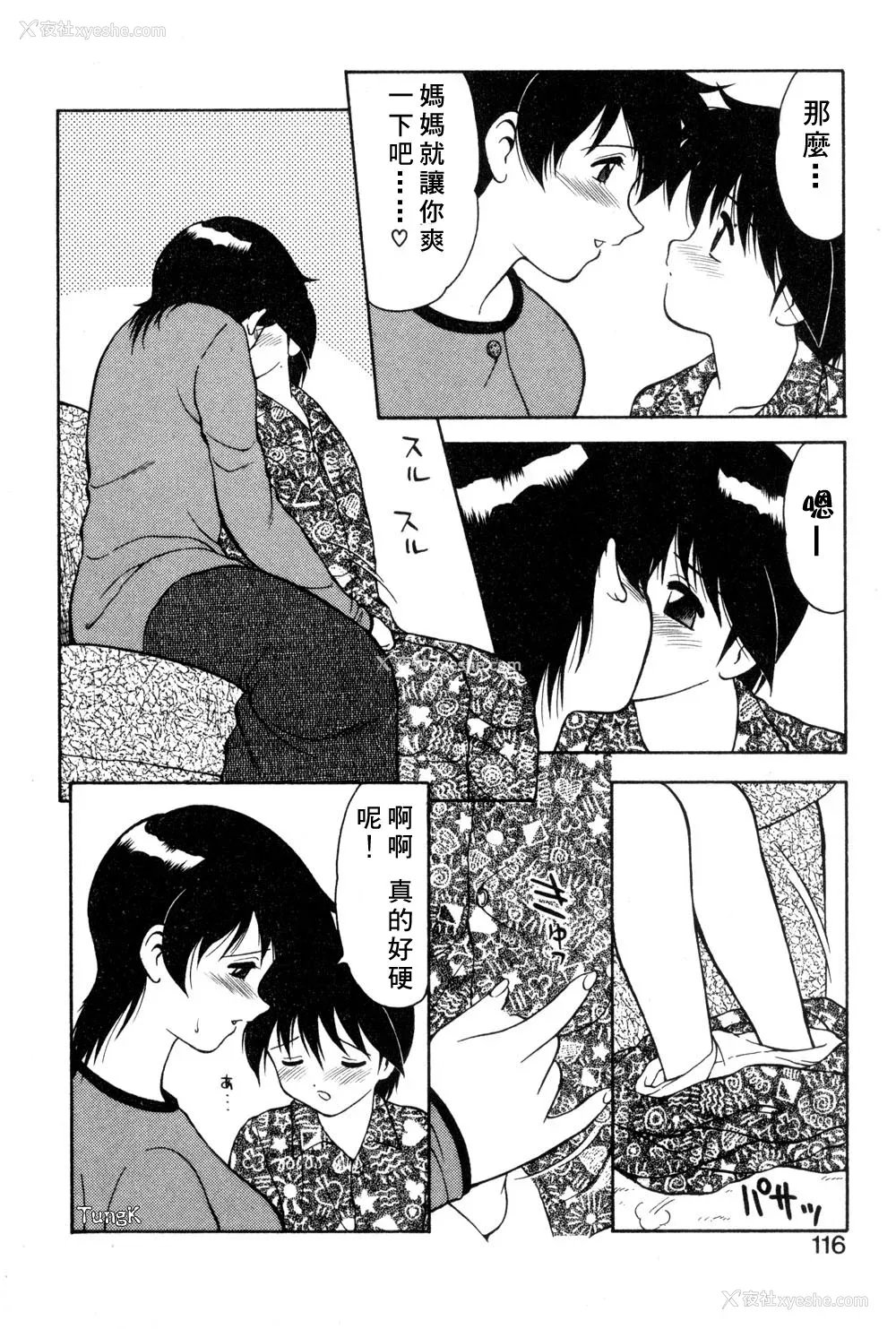 113P - [拝狼] 紫苑の夜 爱蔵版 [自由汉化]
