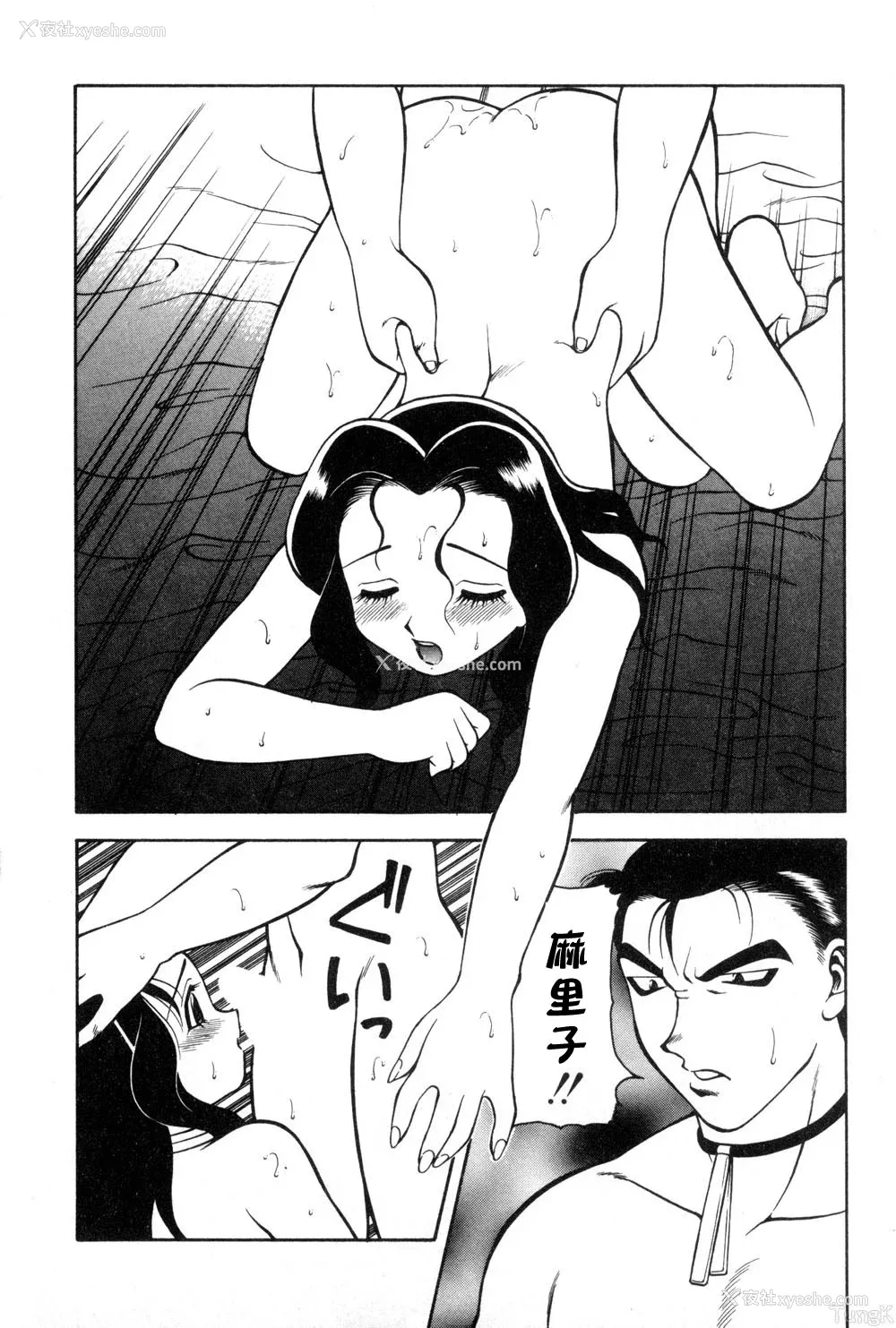12P - [拝狼] 紫苑の夜 爱蔵版 [自由汉化]