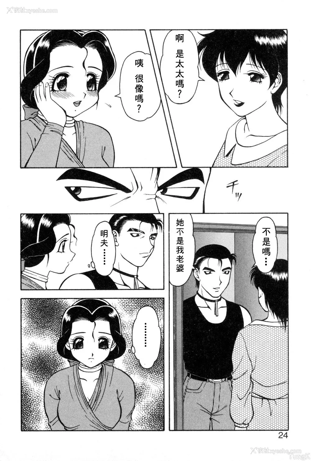 20P - [拝狼] 紫苑の夜 爱蔵版 [自由汉化]