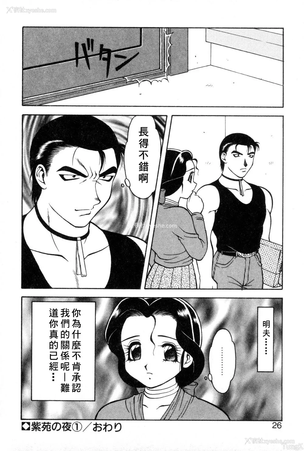 22P - [拝狼] 紫苑の夜 爱蔵版 [自由汉化]