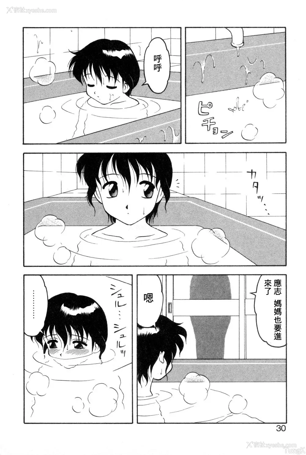 26P - [拝狼] 紫苑の夜 爱蔵版 [自由汉化]