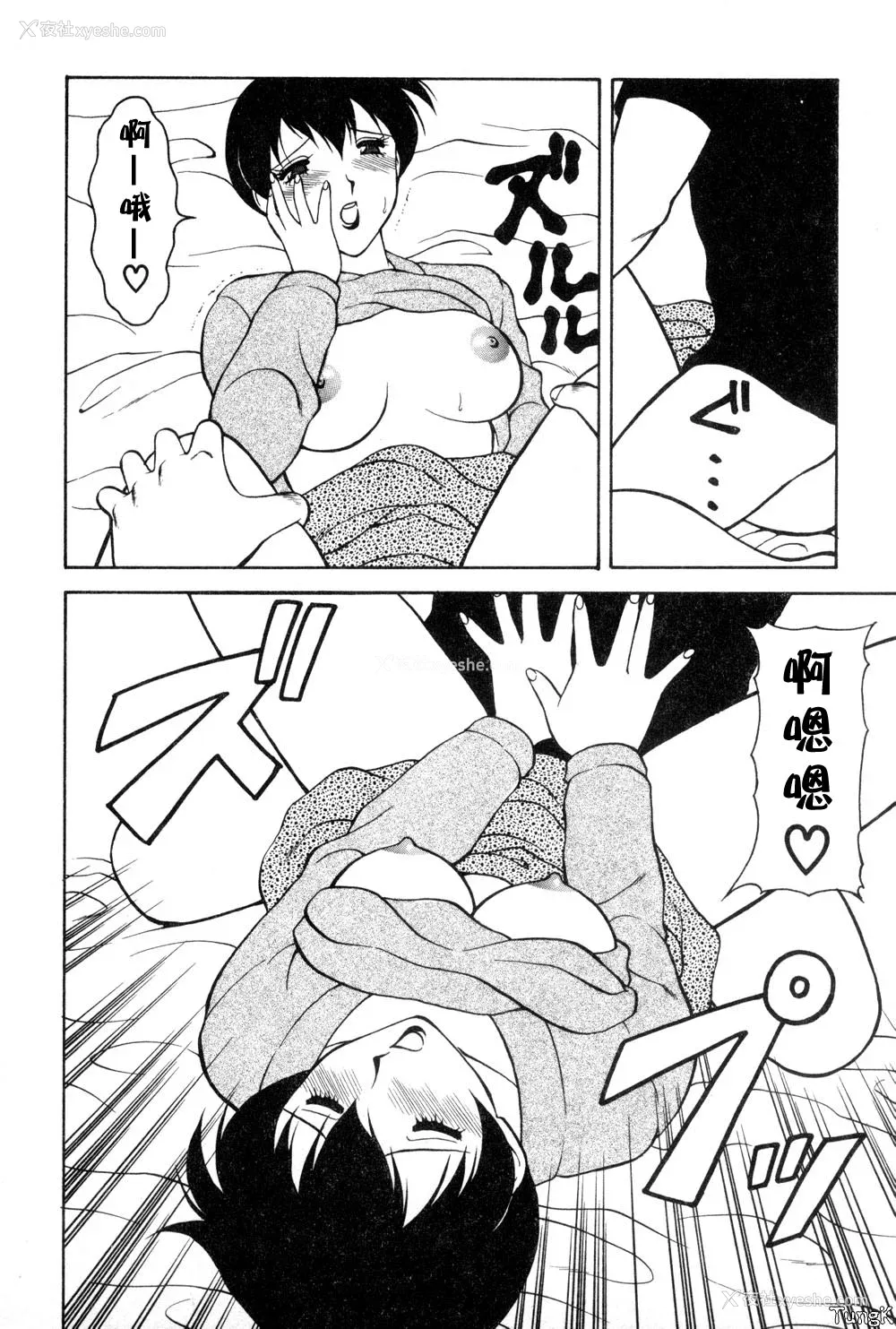 56P - [拝狼] 紫苑の夜 爱蔵版 [自由汉化]