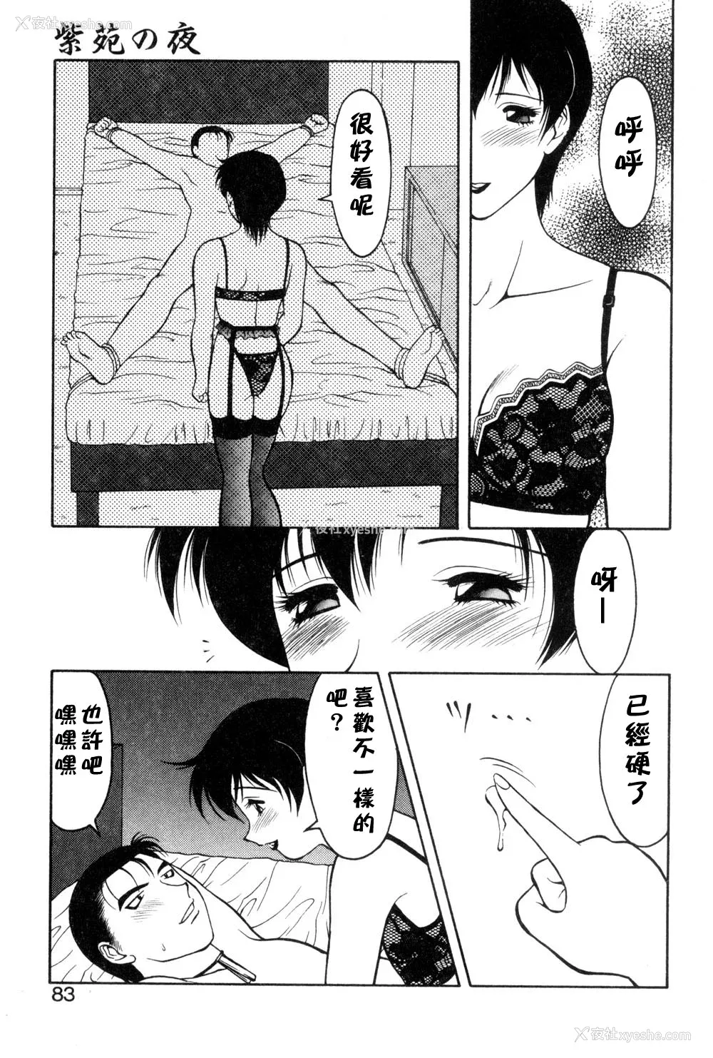 79P - [拝狼] 紫苑の夜 爱蔵版 [自由汉化]