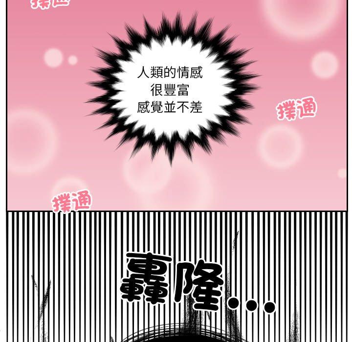63P - 我的完美娃娃/我的专属娃娃