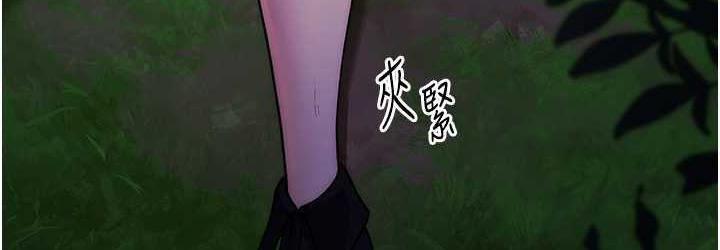 36P - 练爱选择题