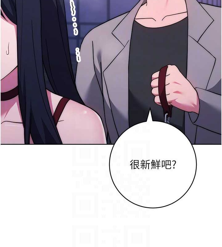 17P - 练爱选择题