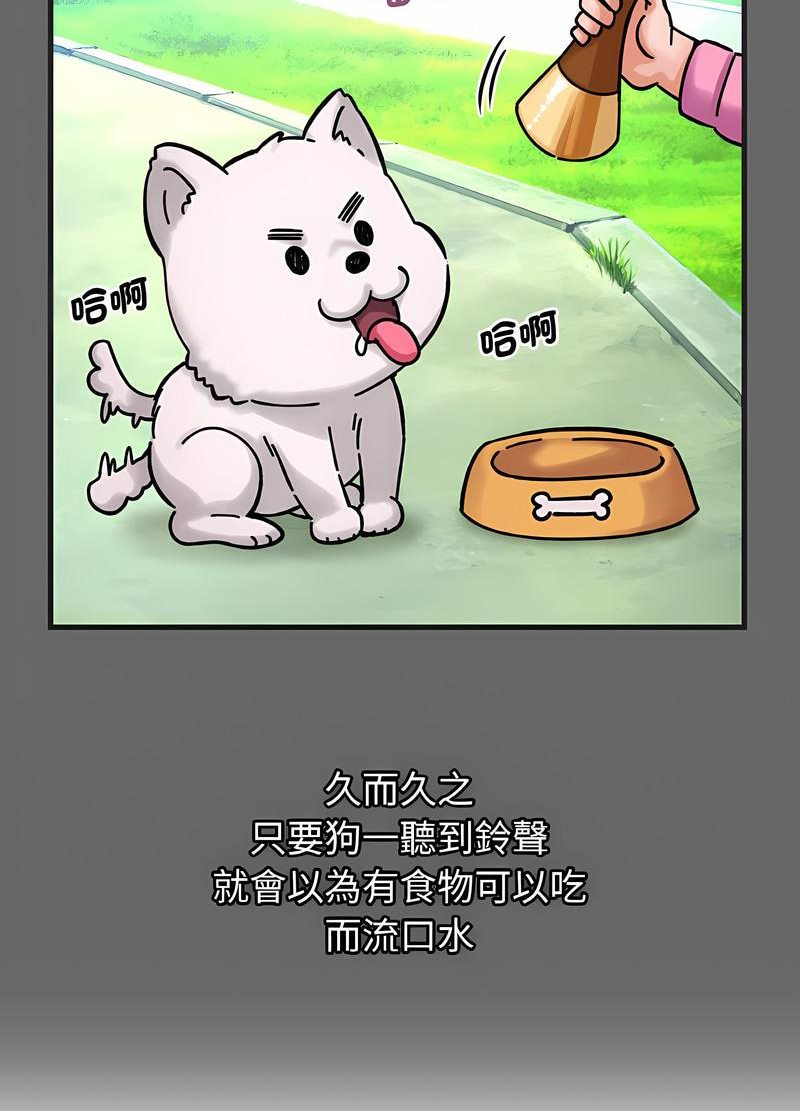 24P - 让人火大的她/我的女王