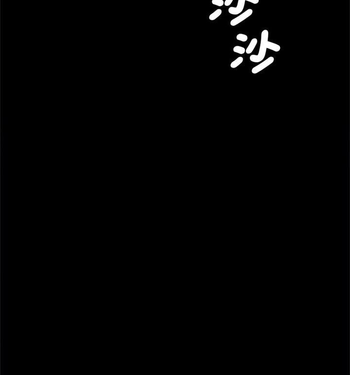 47P - 菜鸟教练的逆袭/逆袭之路