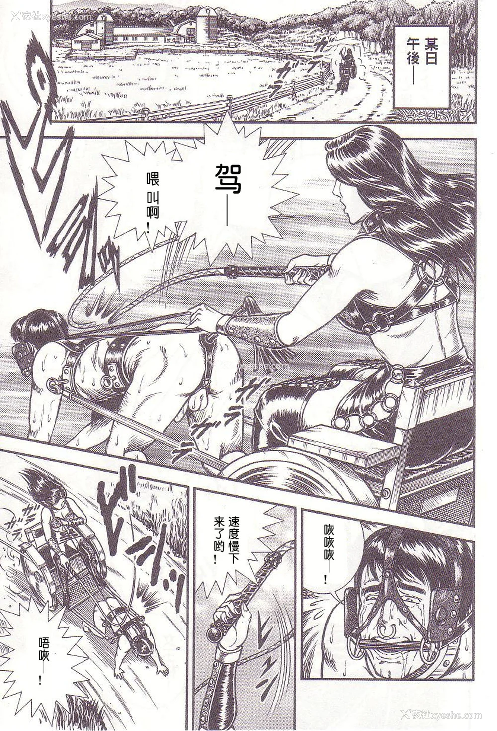 13P - [暗藻ナイト] コミックマゾ1