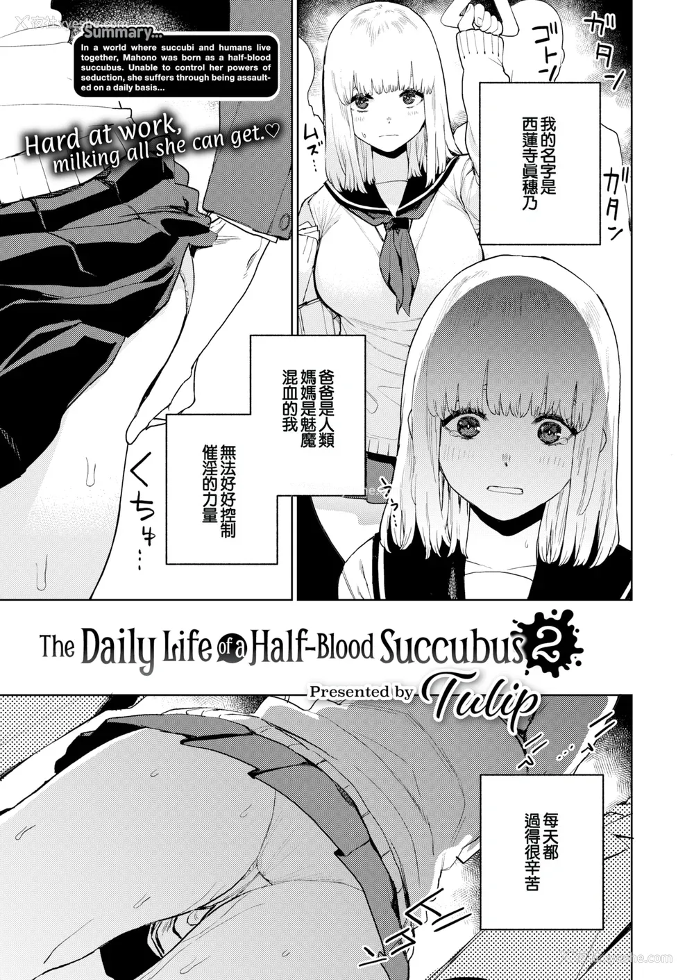 23P - [ちゅーりっふ。] 混血サキュバスたちの日常 [中国翻訳] [无修正] [DL版]